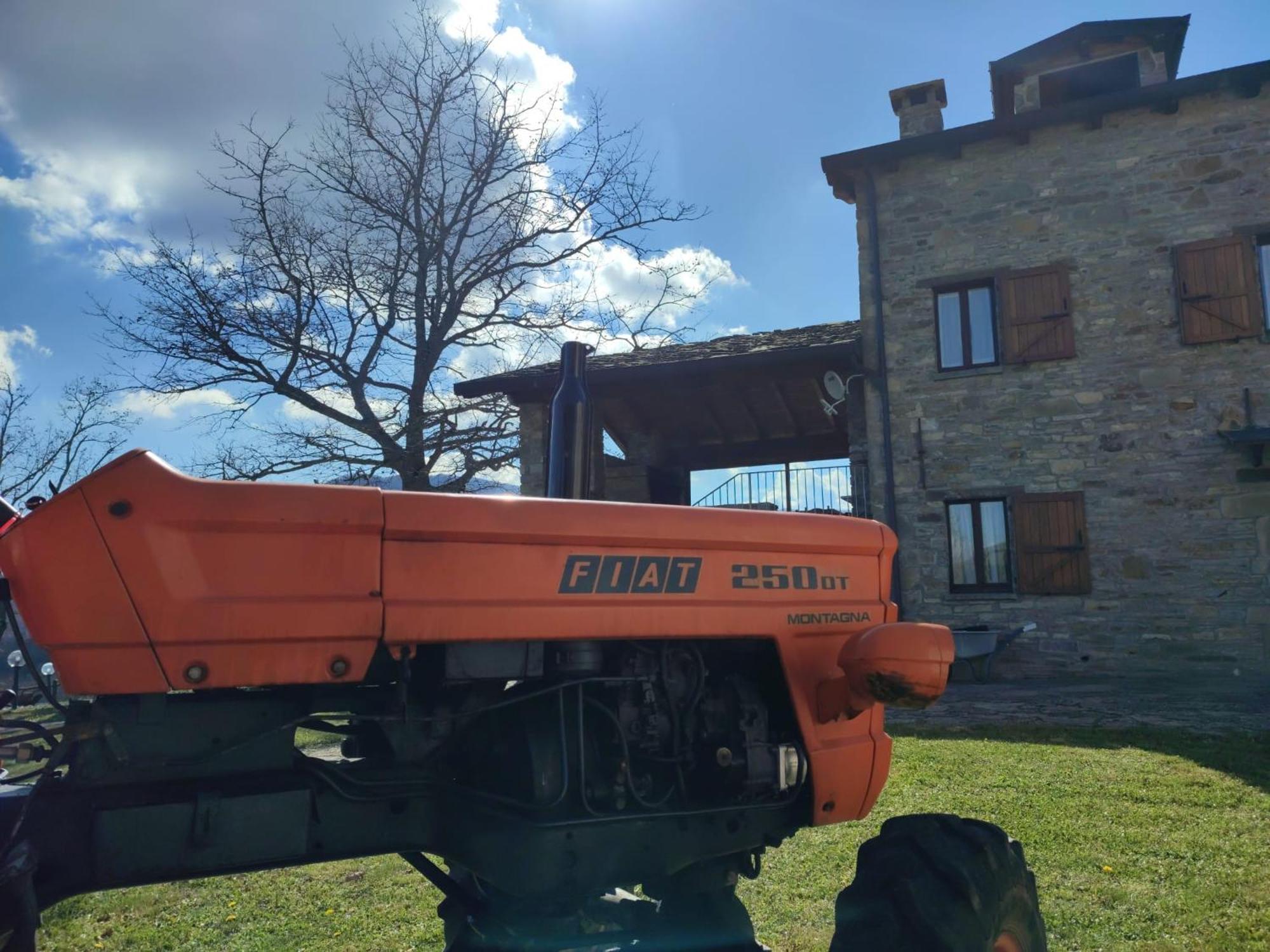 Pianelleto Casa Vacanze Fattoria Il Cerroヴィラ エクステリア 写真